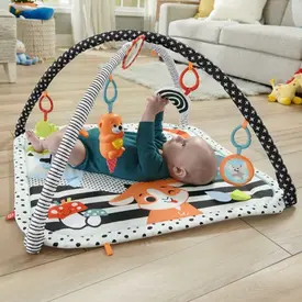 Fisher Price Tapete de Atividades Com Ginásio
