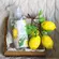 Água Perfumada Citrus Verbena