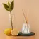 Difusor de Perfume Citrus Verbena