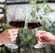 Conjunto 6 Taças de Cristal para Vinho - Ecológico Alex 600ml
