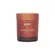 Vela Perfumada Terra do Sol + Água de Côco