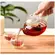 Chaleira Vidro Resistente Classic 800ml