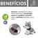 Bichinho Amigo - Cachorro - Naninha