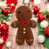 Almofada Gingerbread Marrom com 10cm de Altura
